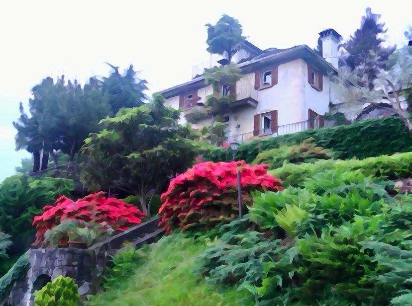 דומודוסולה B&B Villa Moro - Family House מראה חיצוני תמונה